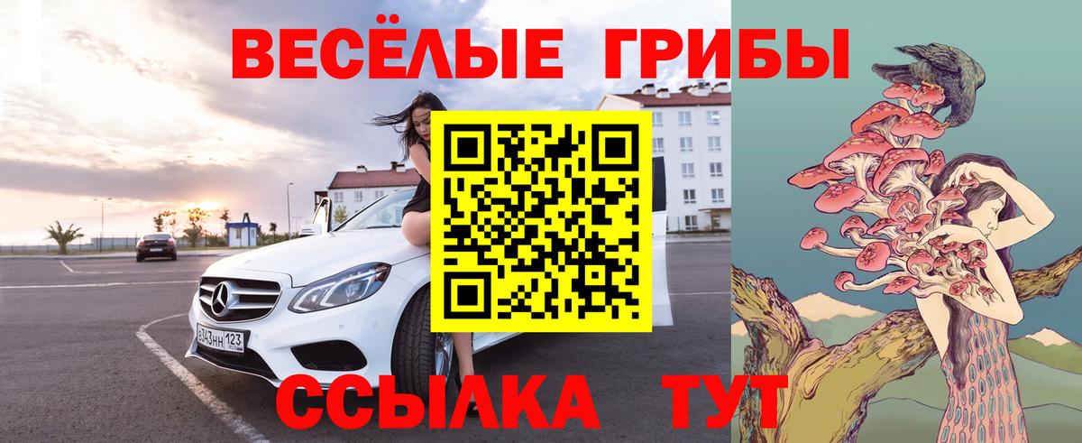 Галлюциногенные грибы прущие грибы Краснодар